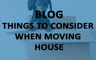Things to consider when moving house